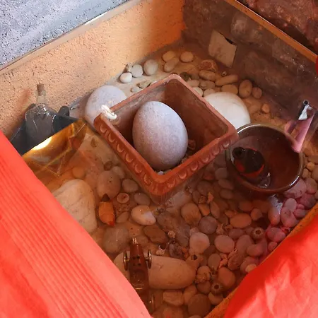 Mani Drosopigi Stonehouse